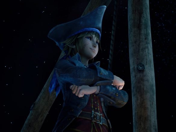 Pirate Sora